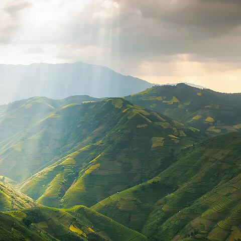 Vietnam VIEW Vietnam VIEW